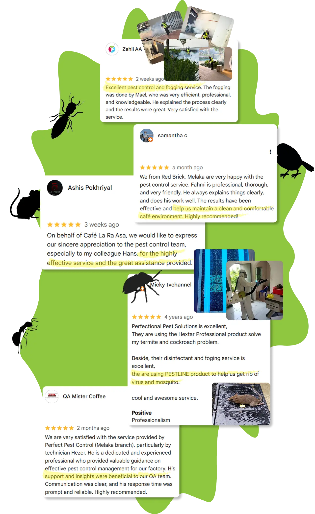 Customer Reviews